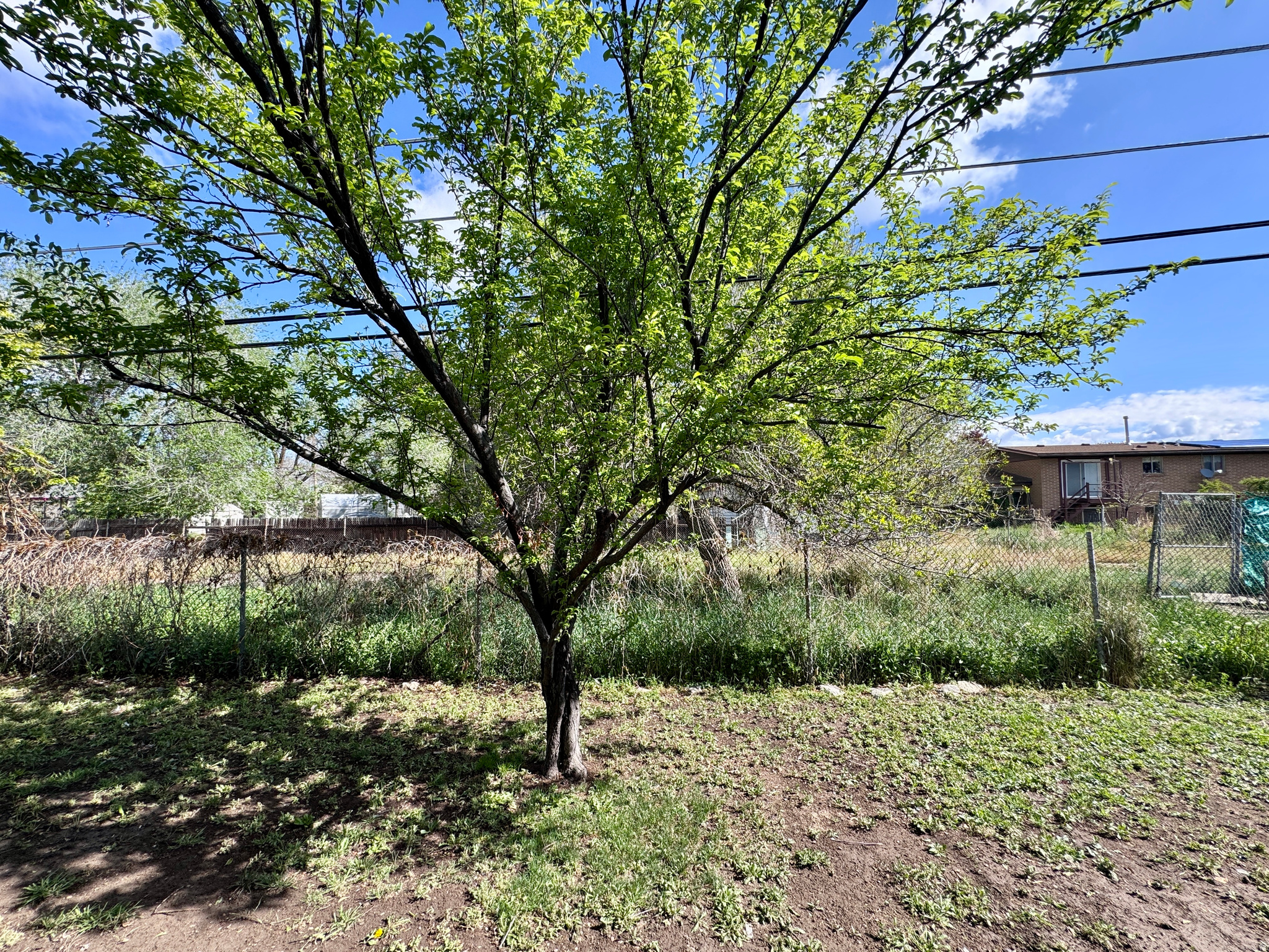 CROWN SUB #1 - Residential Income