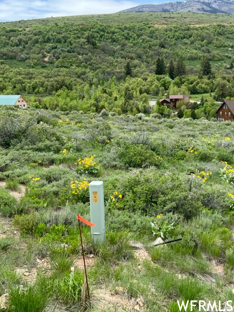 1224 Sculpin Loop #T147, Garden City, Utah image 8