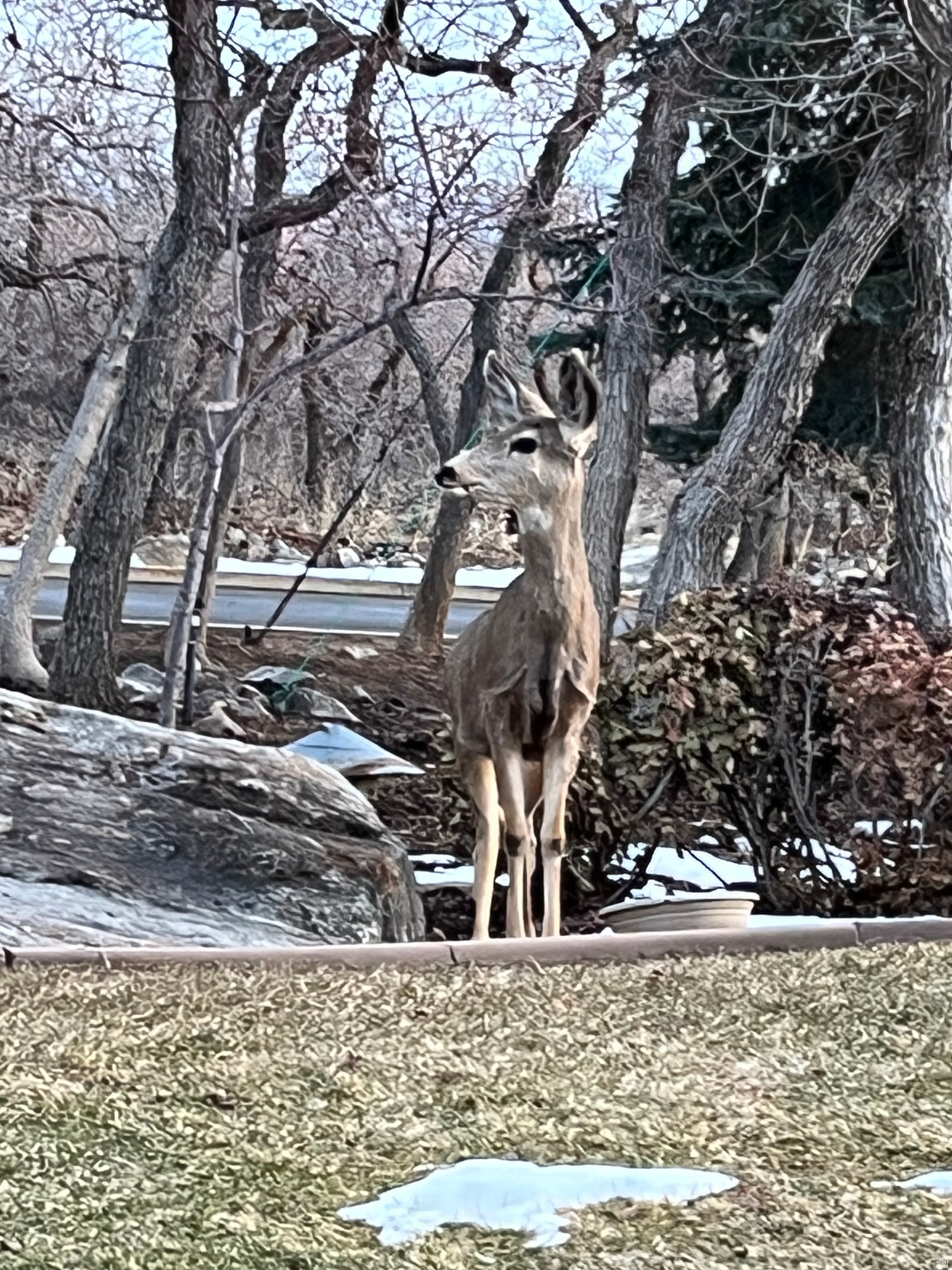 SHADOW VALLEY - Residential