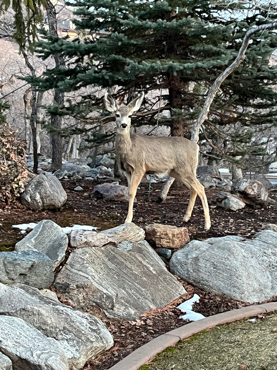 SHADOW VALLEY - Residential