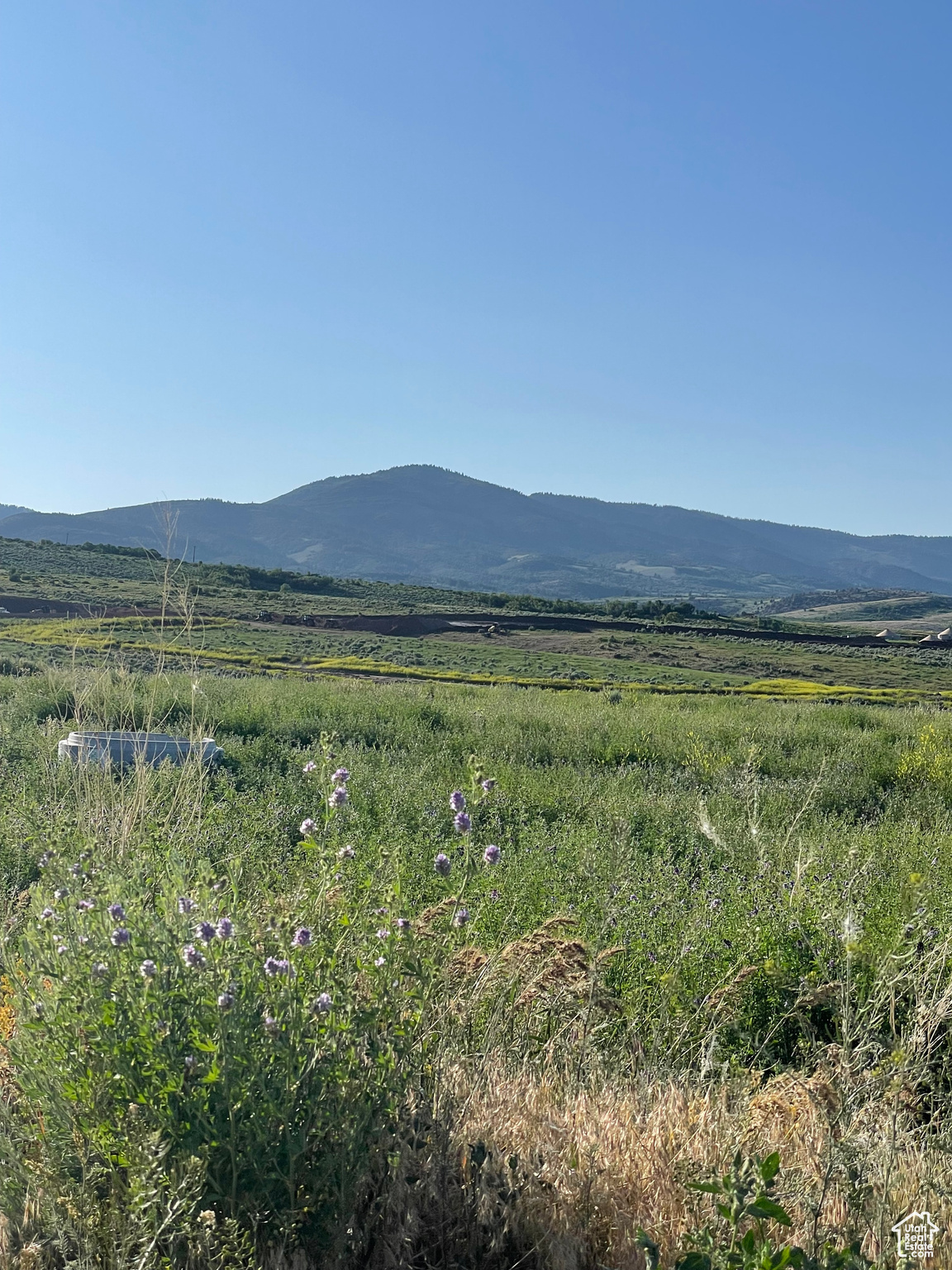 LONG RIDGE @ BEAR LAKE LLC - Land