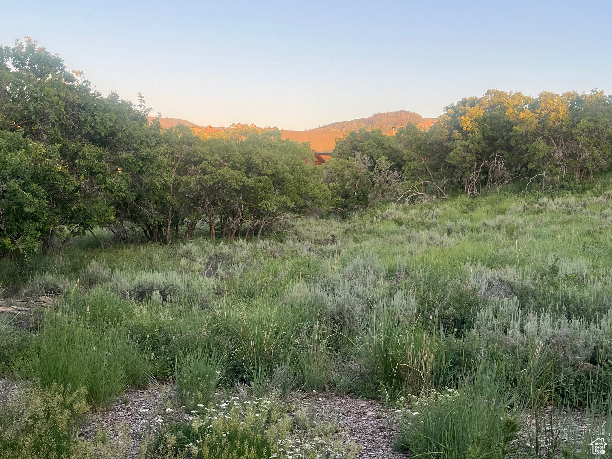 TIMBER LAKES - Residential