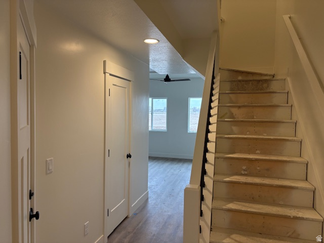 SALT GRASS - Residential