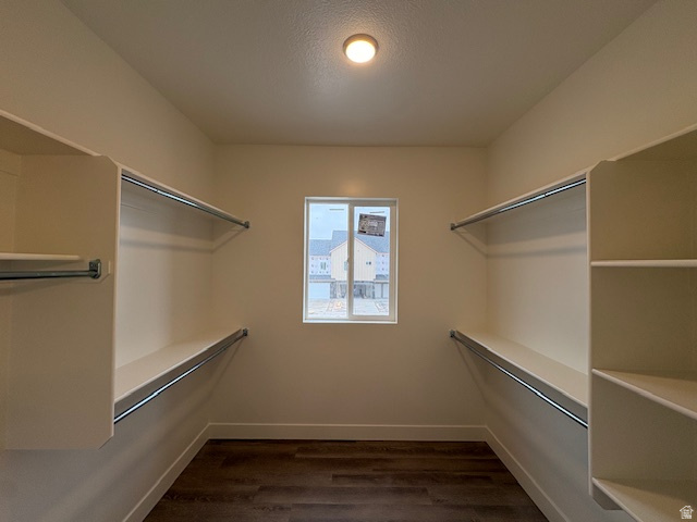 SALT GRASS - Residential