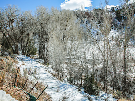 1290 Echo Crk #ECR 2, Echo, Utah image 35
