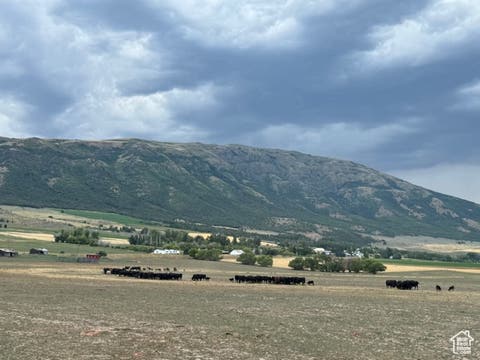 Vacant Land For Sale - #6<br/> Clifton, ID 83228