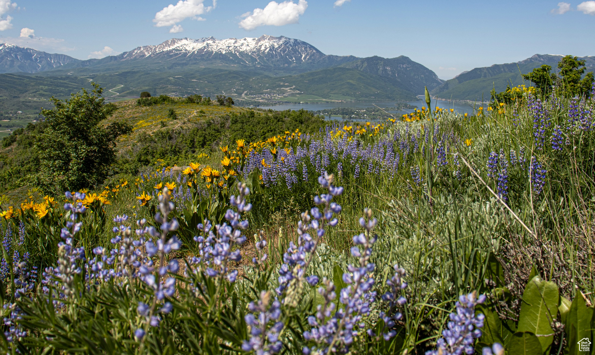 9028 E 950 #89, Huntsville, Utah image 9