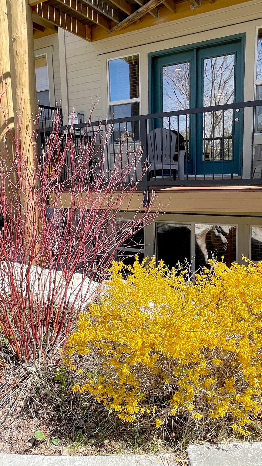 MOOSE HOLLOW CONDOMINIUM PHASE 3 - Residential