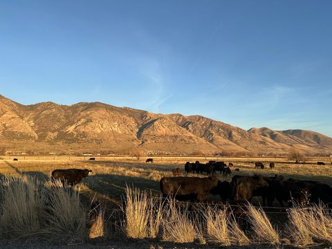 Tiny photo for 1000 W 1500 N, Brigham City, UT 84302 (MLS # 2126836)