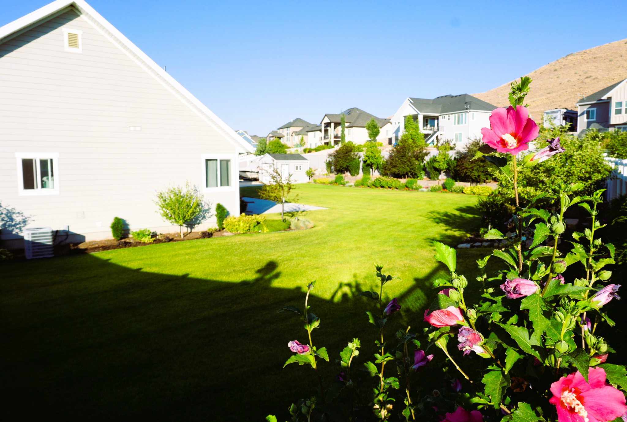 MEADOW RANCH - Residential