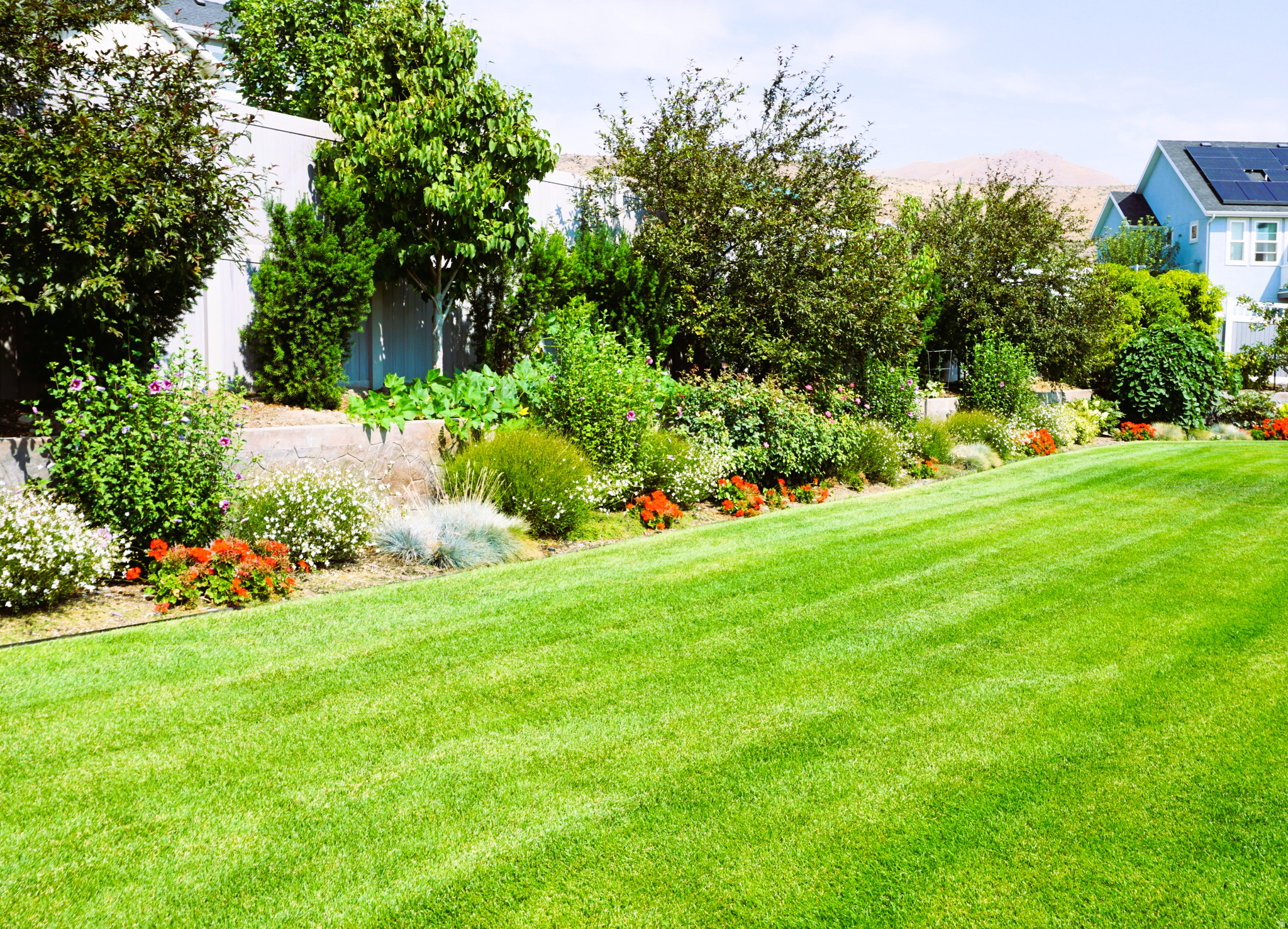 MEADOW RANCH - Residential