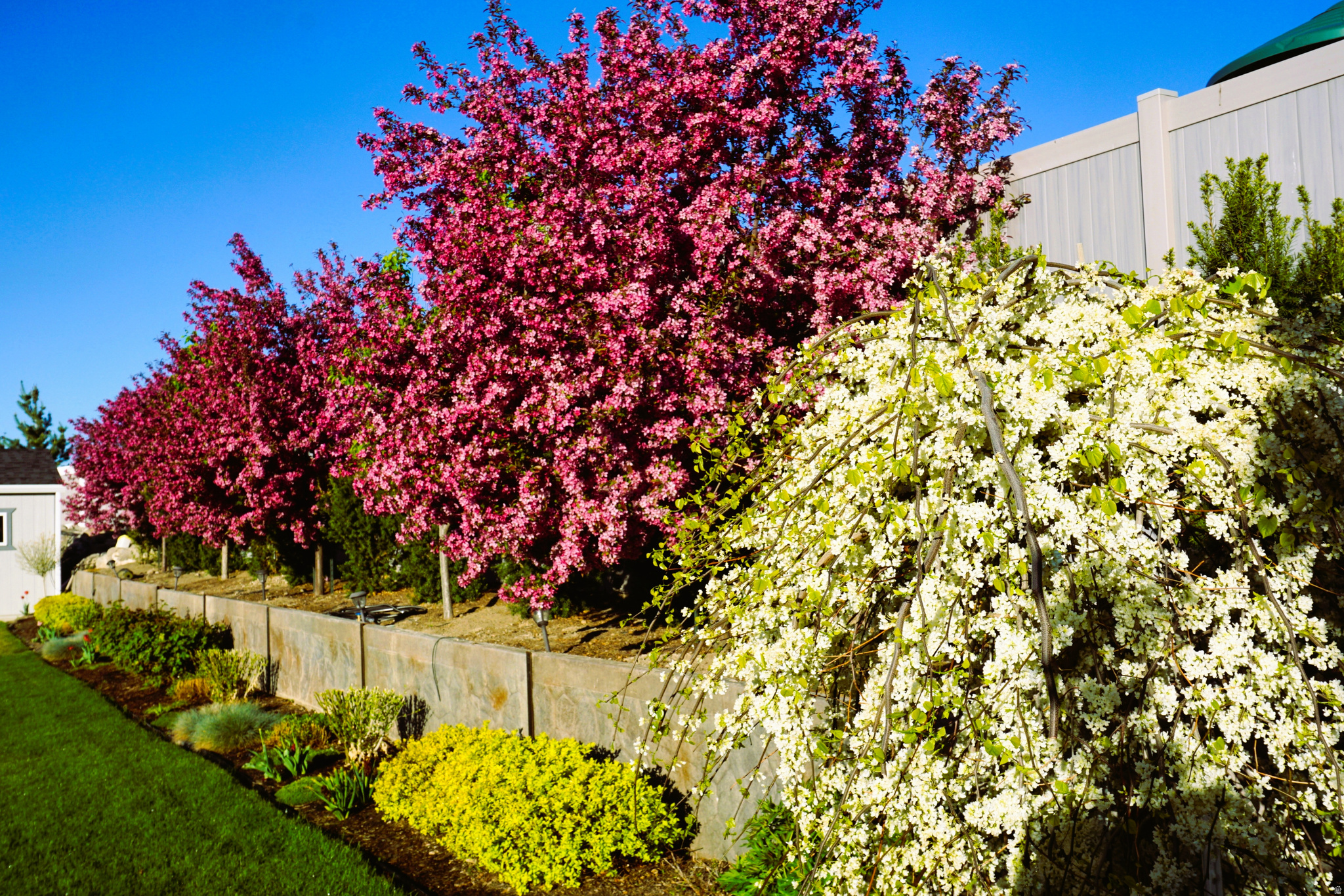 MEADOW RANCH - Residential
