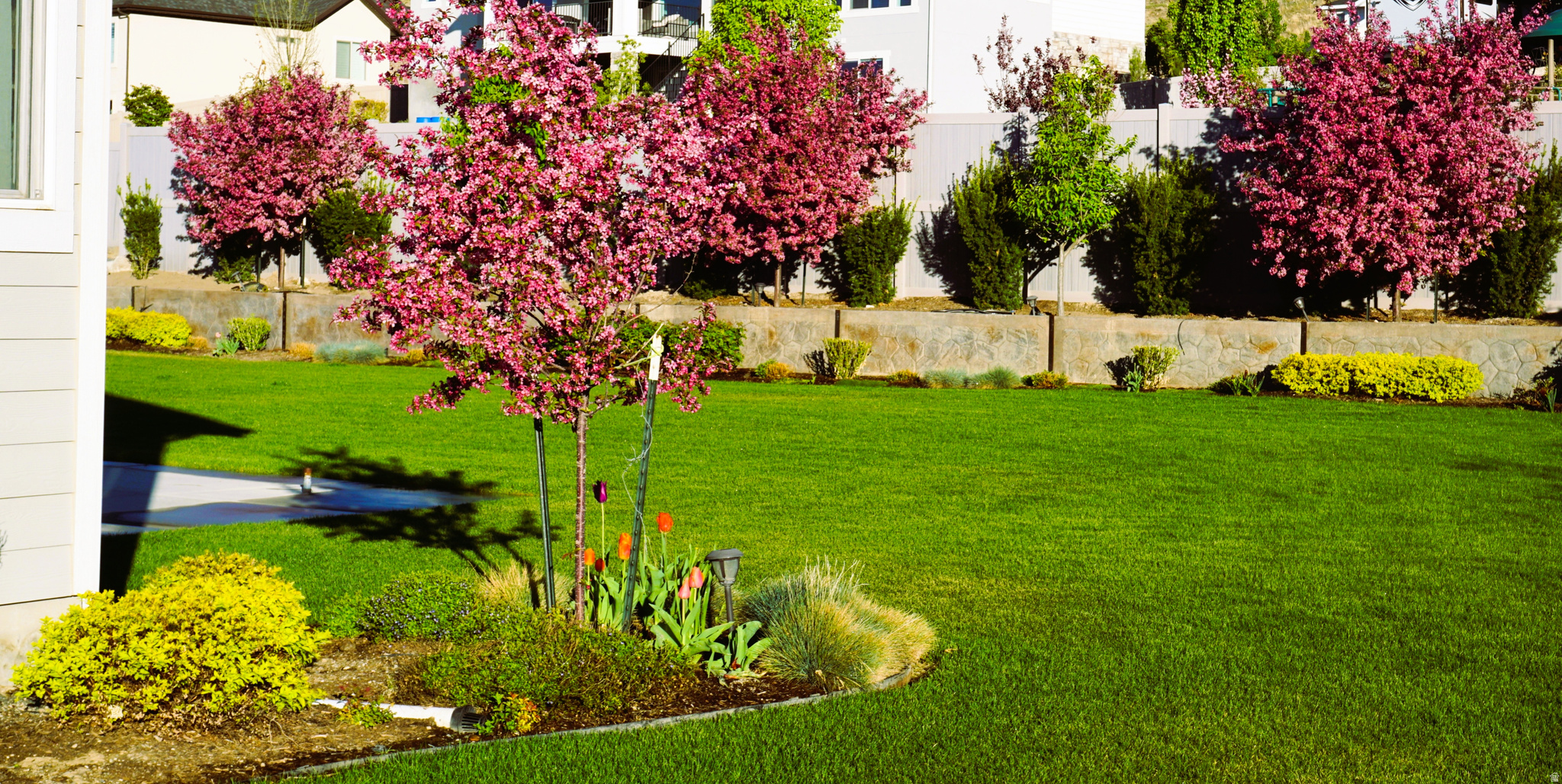 MEADOW RANCH - Residential