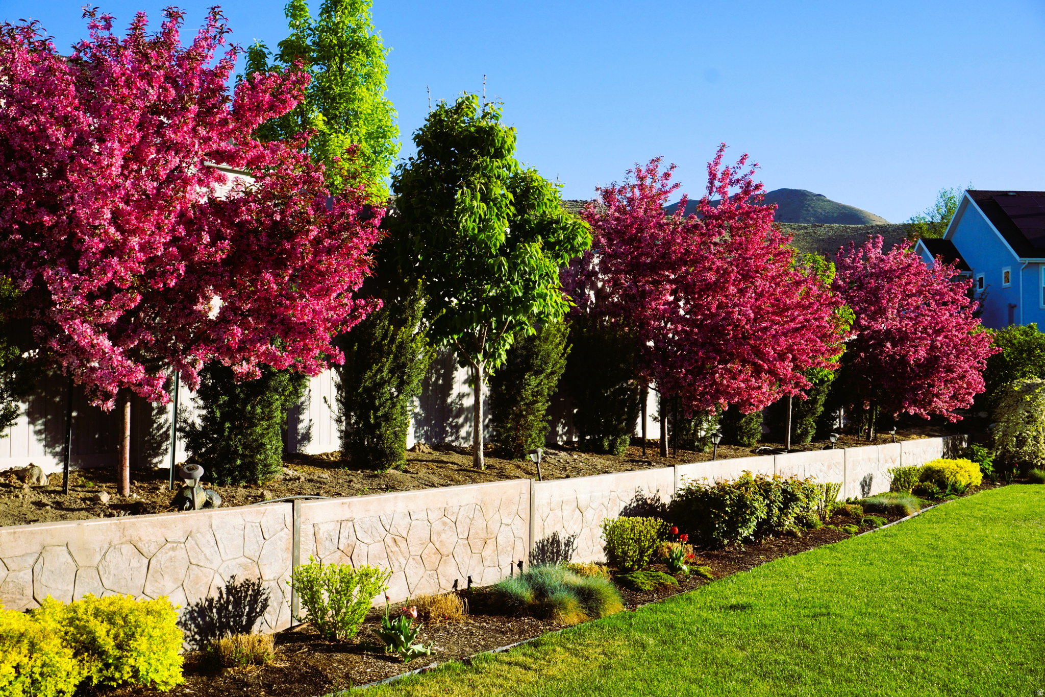 MEADOW RANCH - Residential