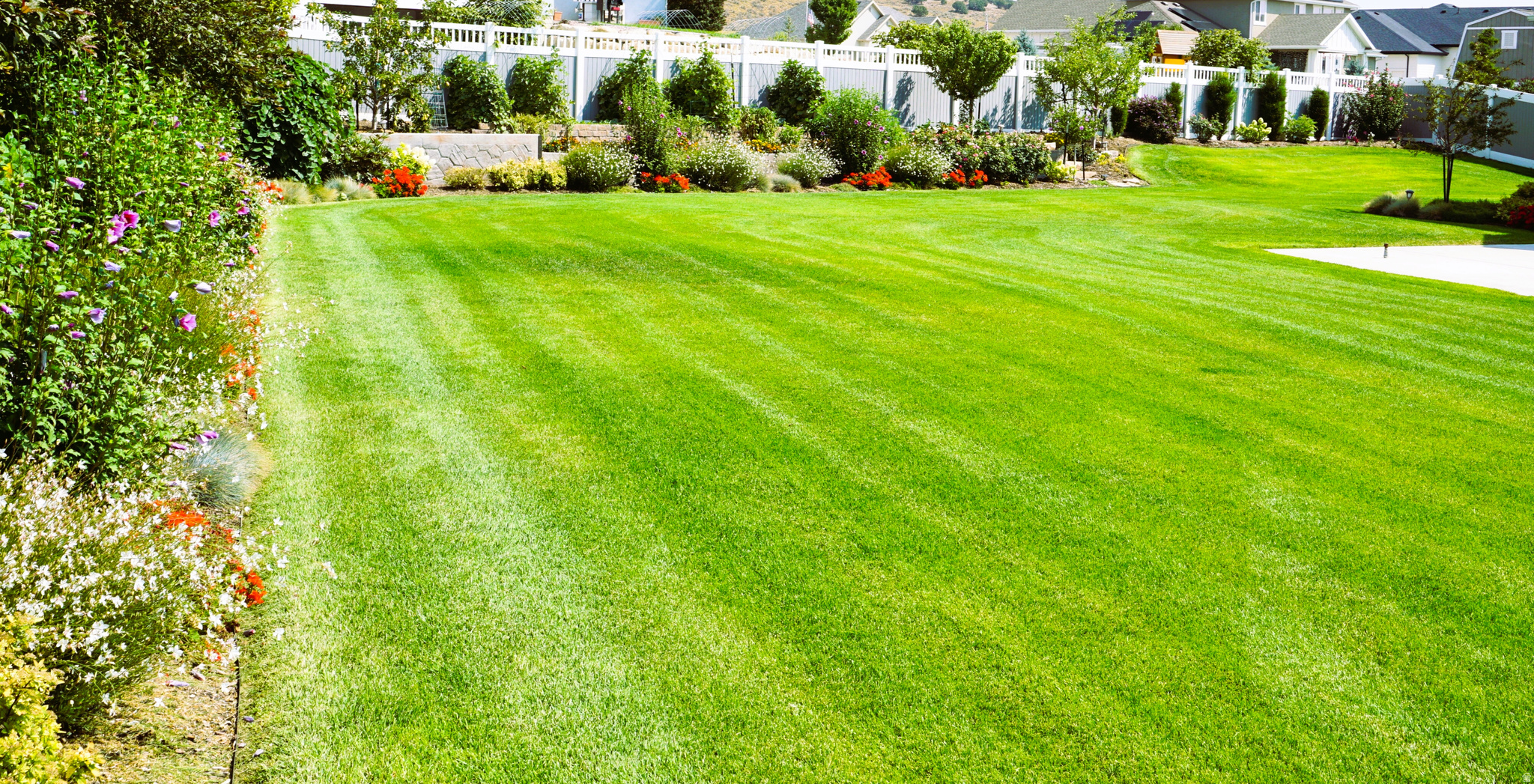 MEADOW RANCH - Residential