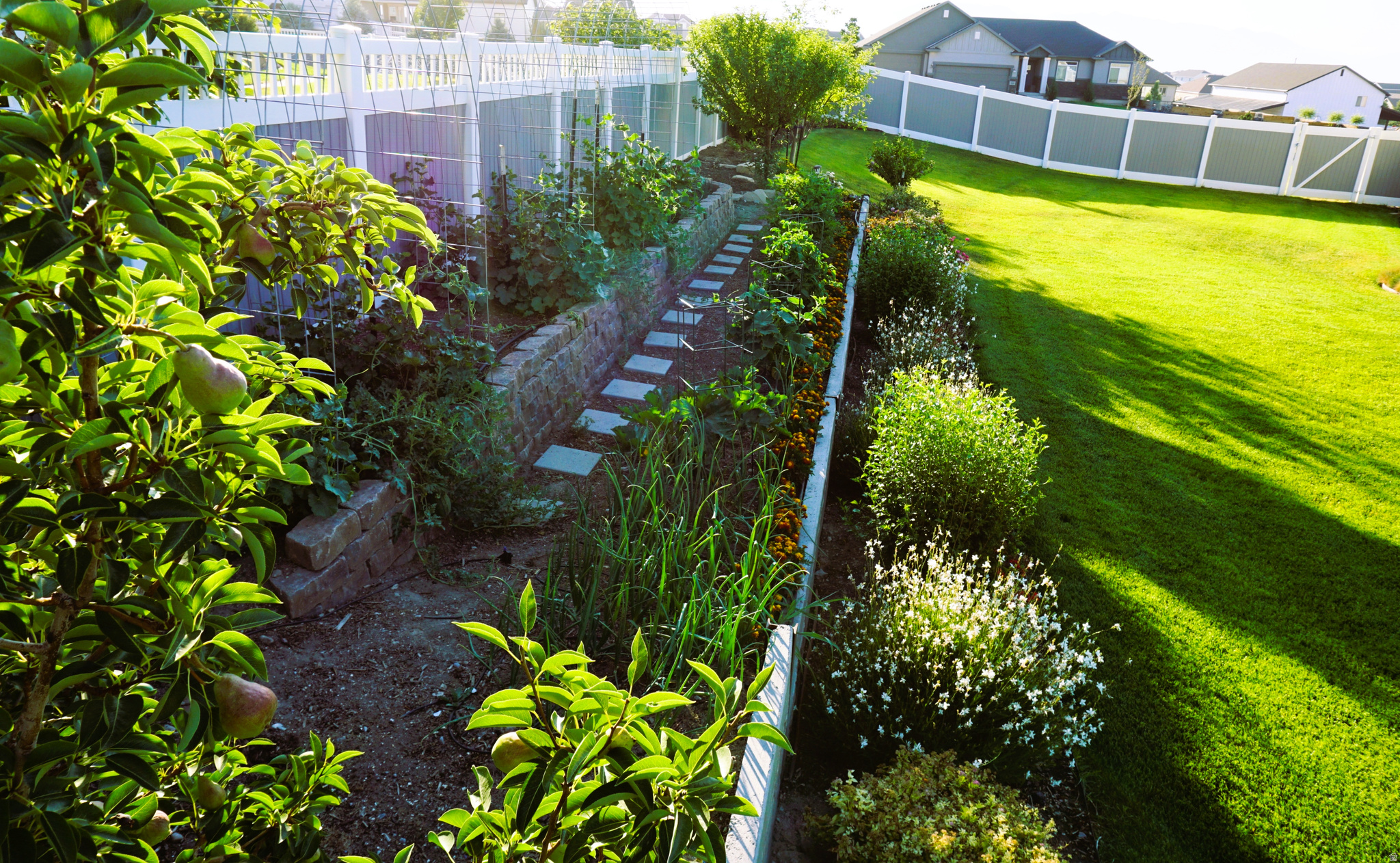 MEADOW RANCH - Residential