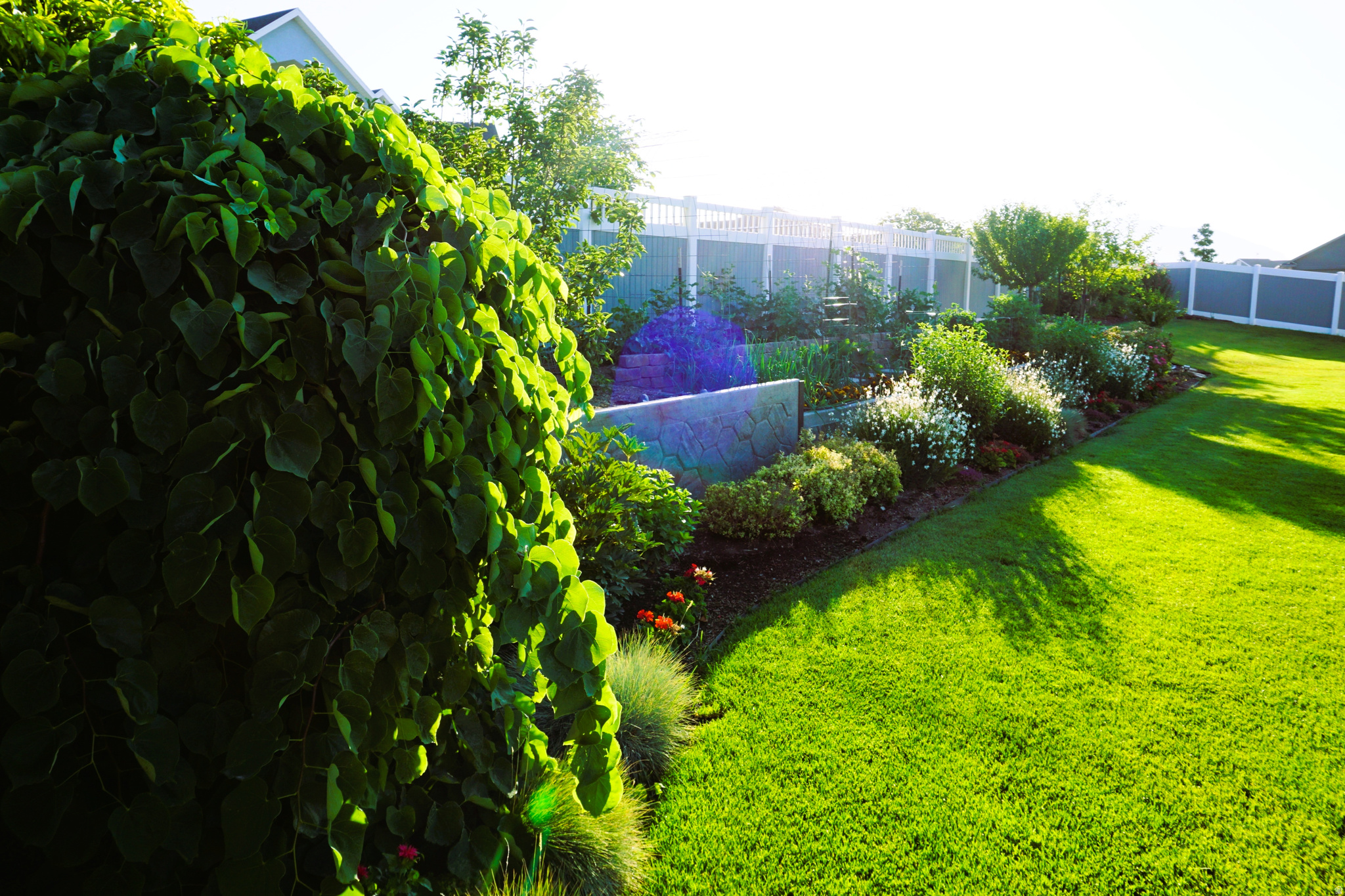 MEADOW RANCH - Residential