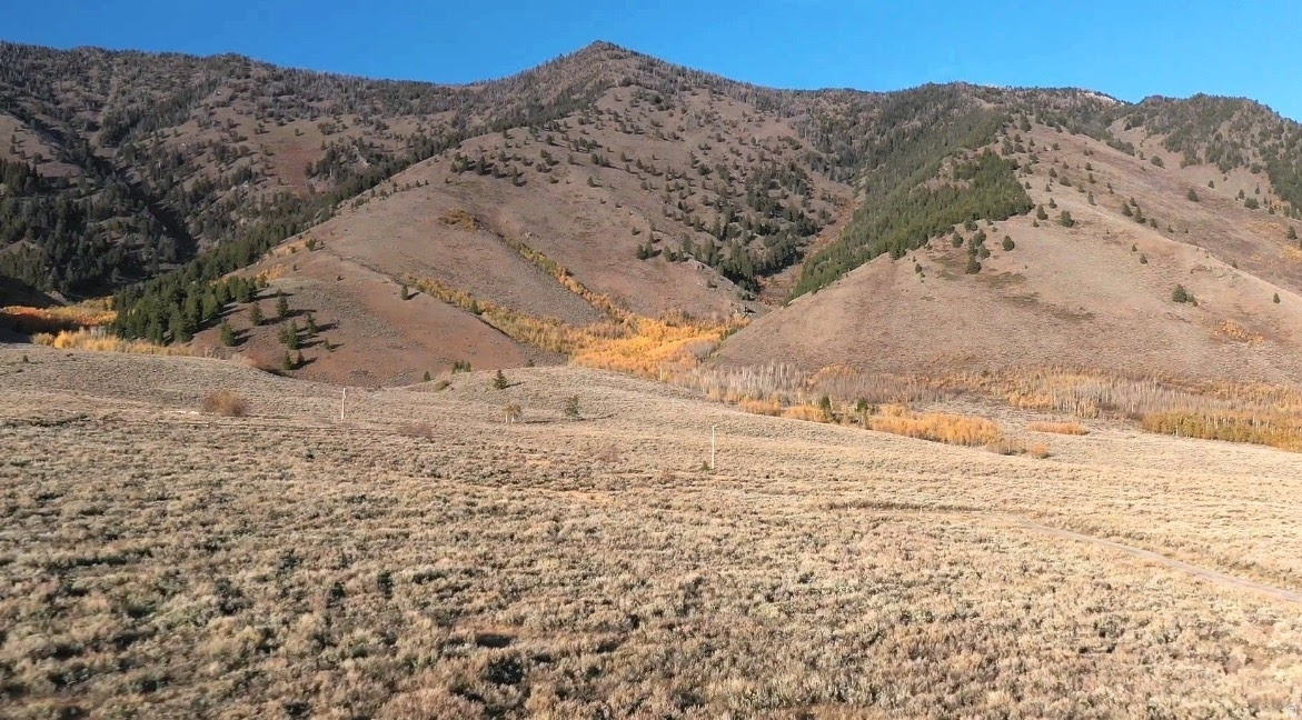 YELLOWSTONE ACRES - Residential