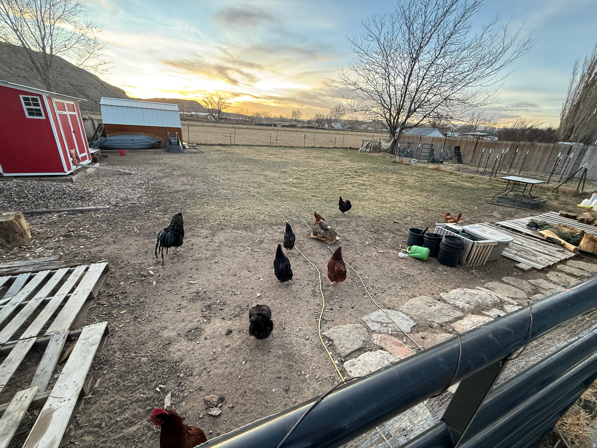 STRAWBERRY EAST - Residential