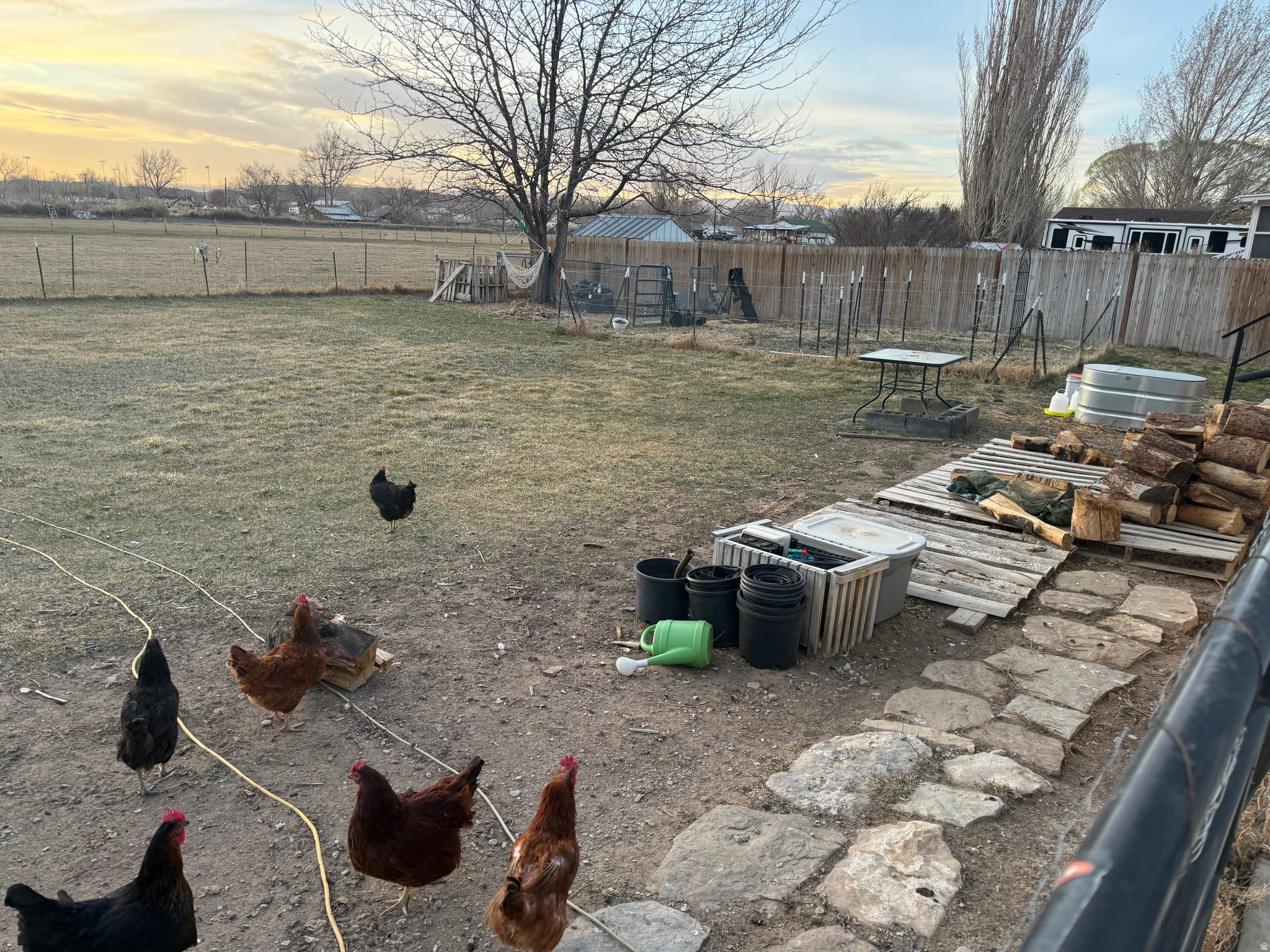 STRAWBERRY EAST - Residential