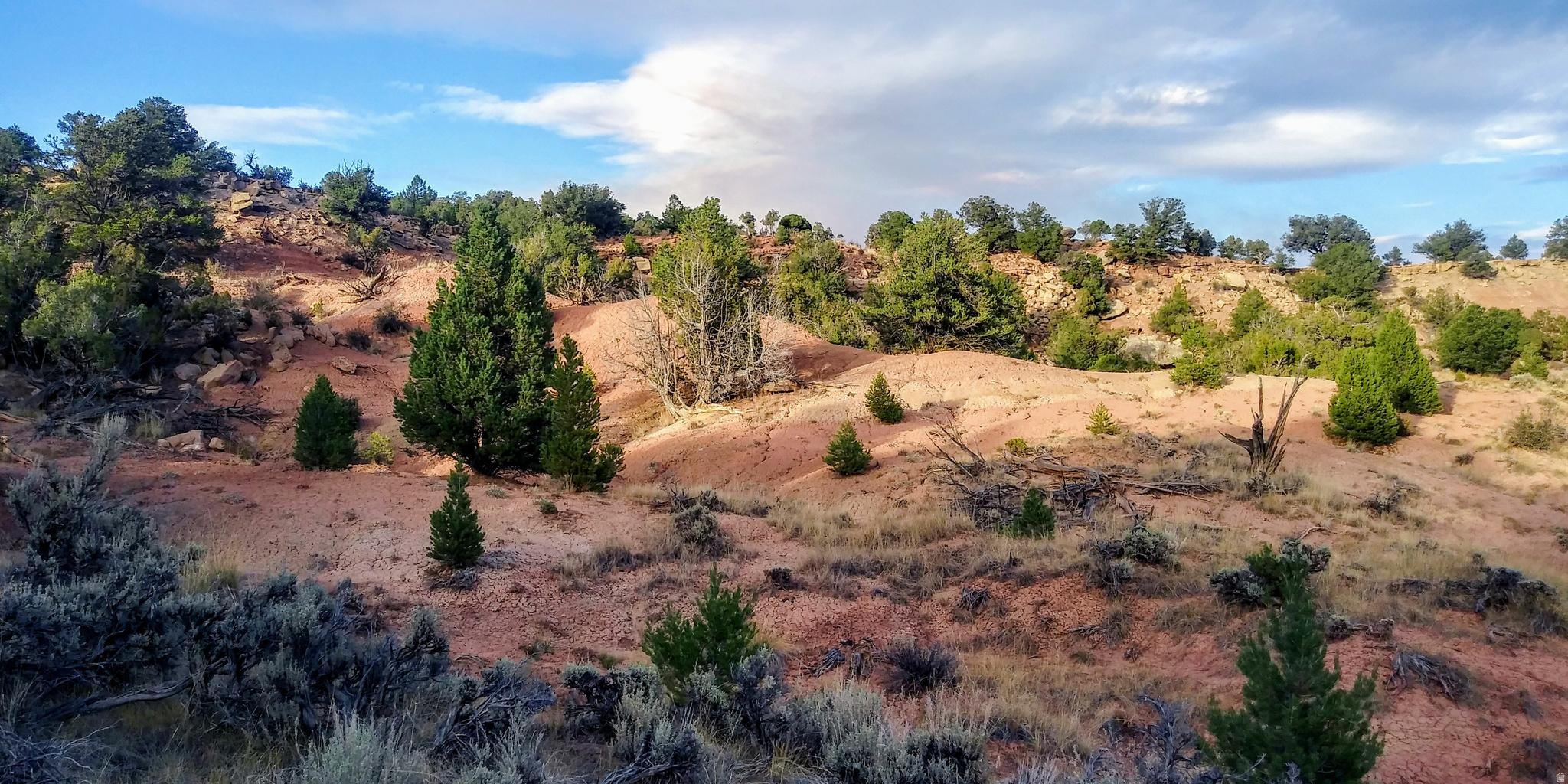 RED CREEK RANCHES - Land