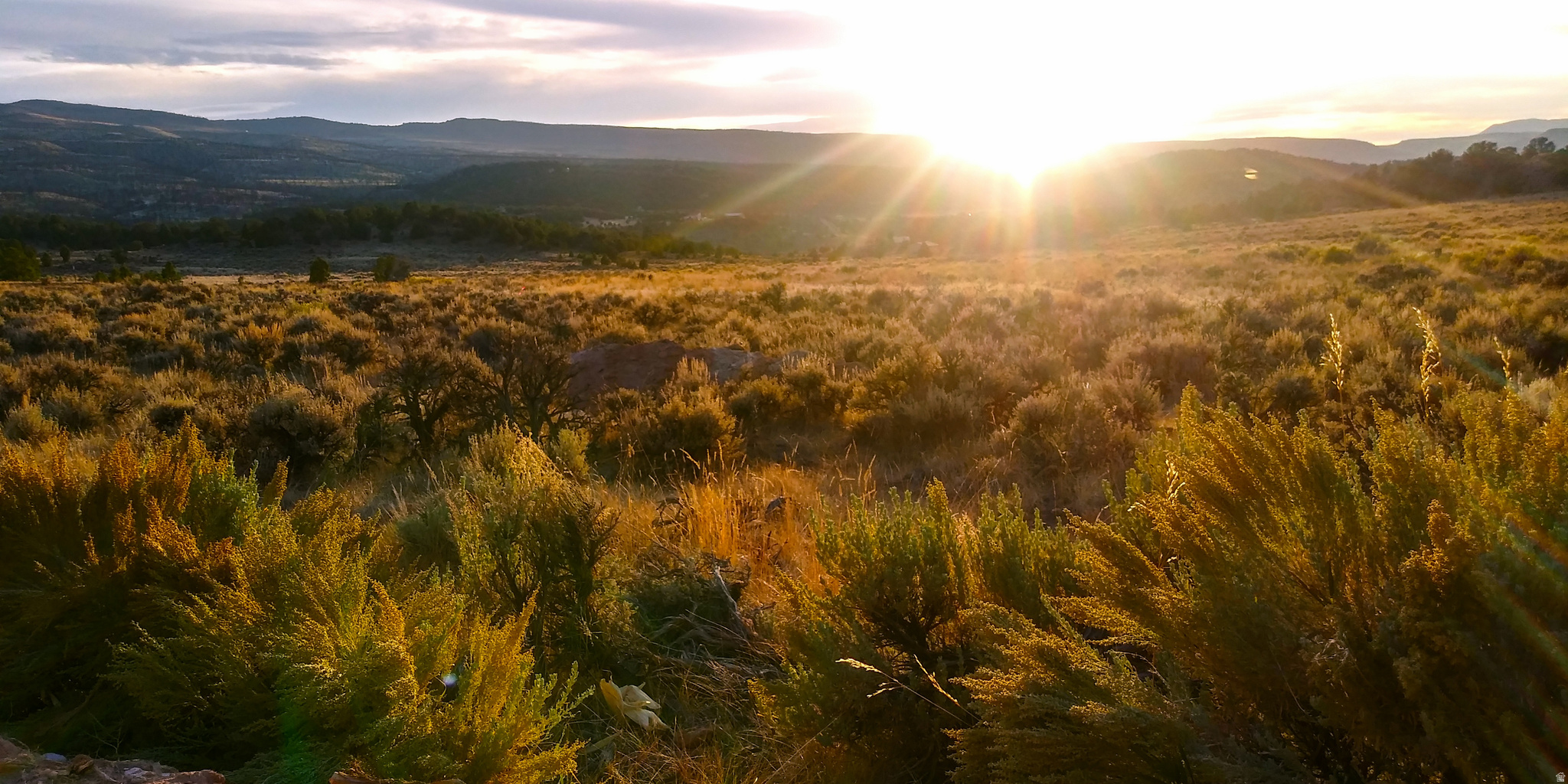 RED CREEK RANCHES - Land