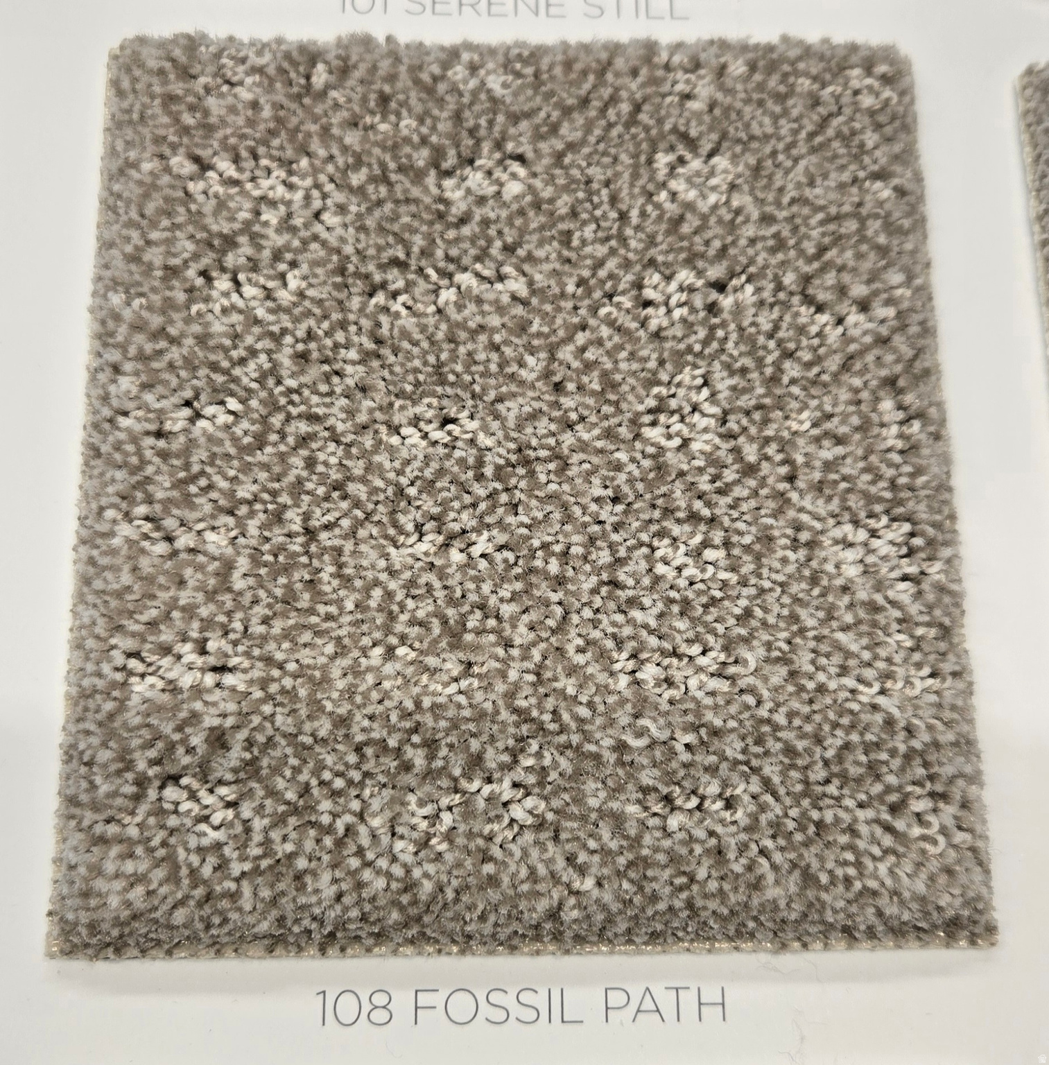 NORTH LAKE MEADOWS - Residential