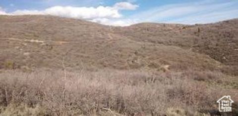Tiny photo for 54 N MOUNT BALDY LOOP W #54, Indianola, UT 84629 (MLS # 2105482)