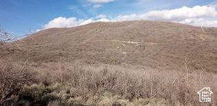 MOUNT BALDY ESTATES - Land