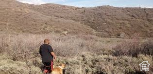 MOUNT BALDY ESTATES - Land