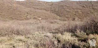 MOUNT BALDY ESTATES - Land