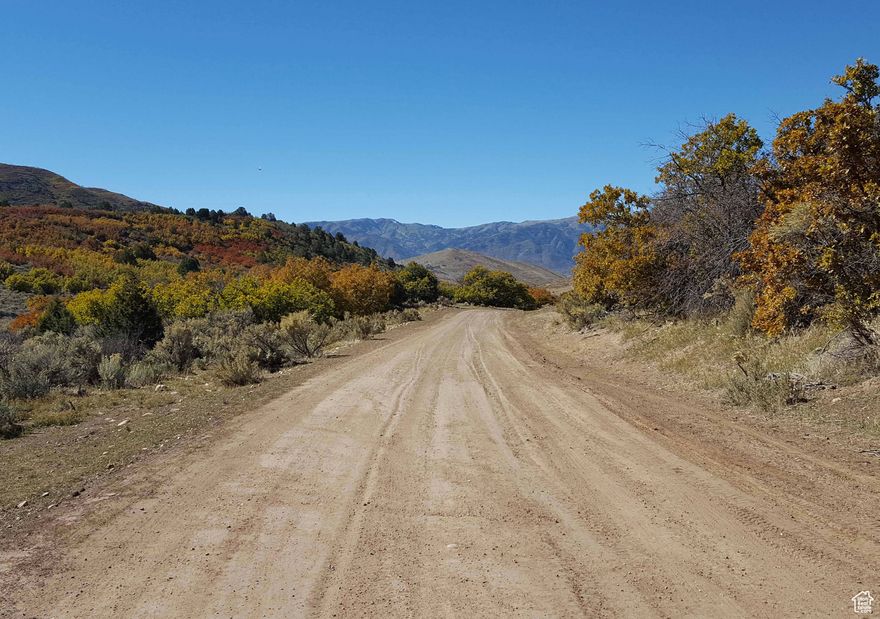 Elbow room! Great lot ready for you to enjoy. Recreation lot in Mount Baldy Estates containing 1.87 acres. Power and water are not available. Property is accessed off the Water Hollow Road, but does not have year round access. Deer & other wildlife are present. You can drive to the property any time. GPS Coordinates: 3943'44.97"N 11135'28.96"W Elevation: 6,843.. Happy to look at a seller finance offer!