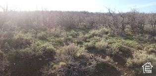 MOUNT BALDY ESTATES - Land