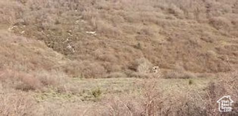 Tiny photo for 54 N MOUNT BALDY LOOP W #54, Indianola, UT 84629 (MLS # 2105482)