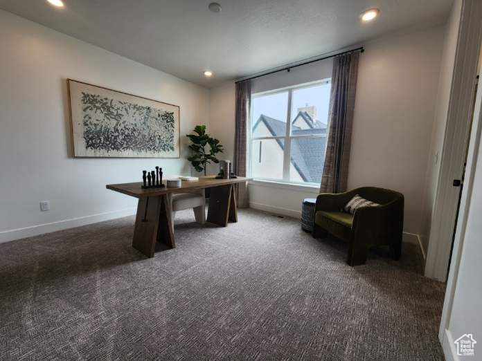 118 W Skara Brae Blvd #125, Lehi, Utah image 22