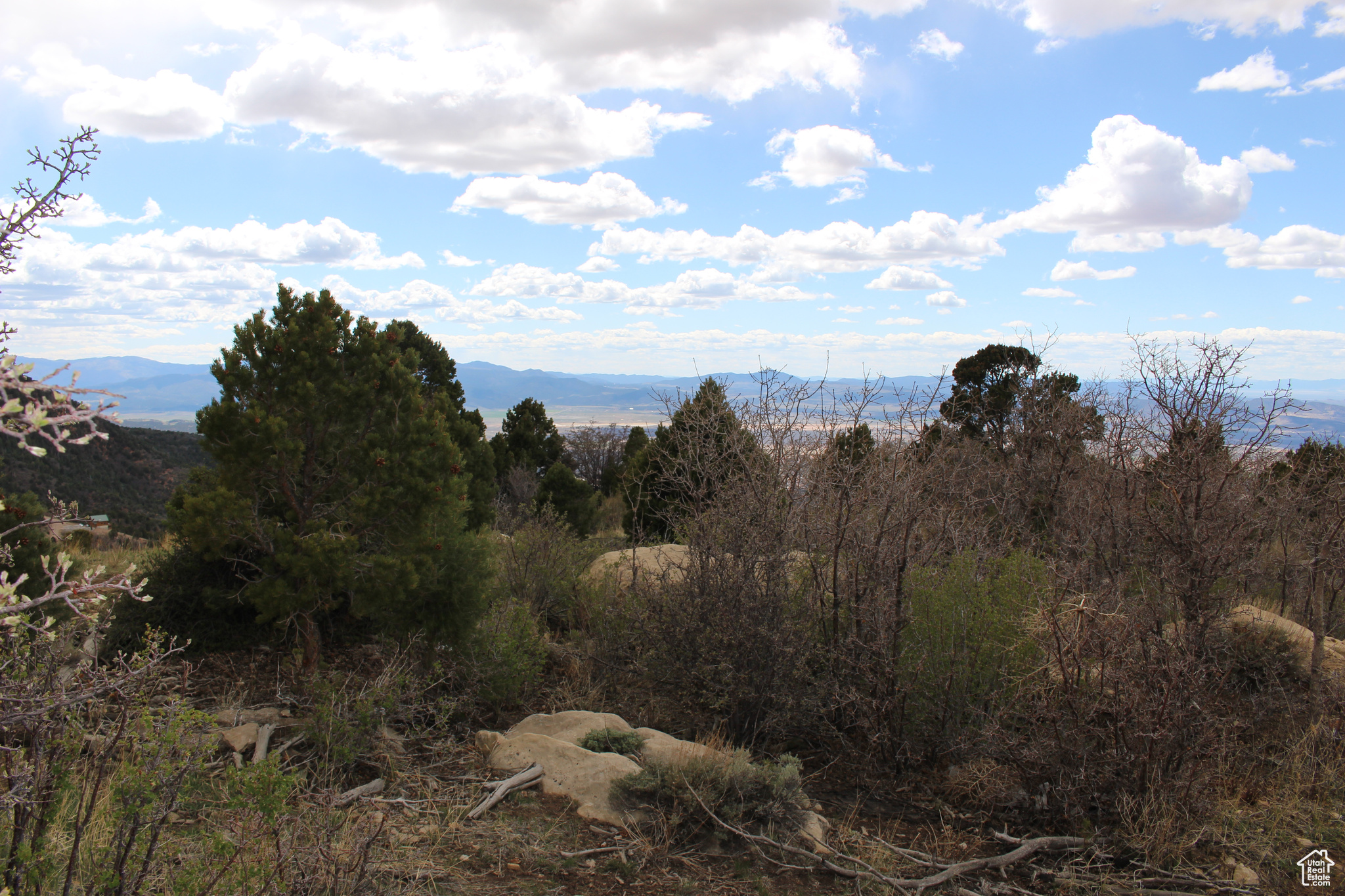 CEDAR HIGHLANDS - Land