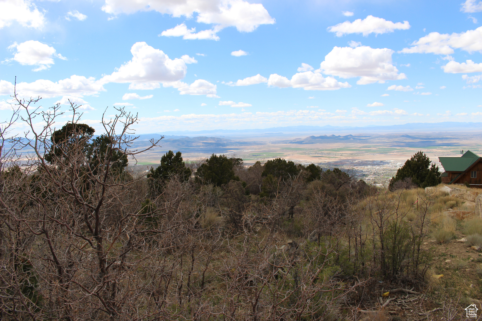 CEDAR HIGHLANDS - Land