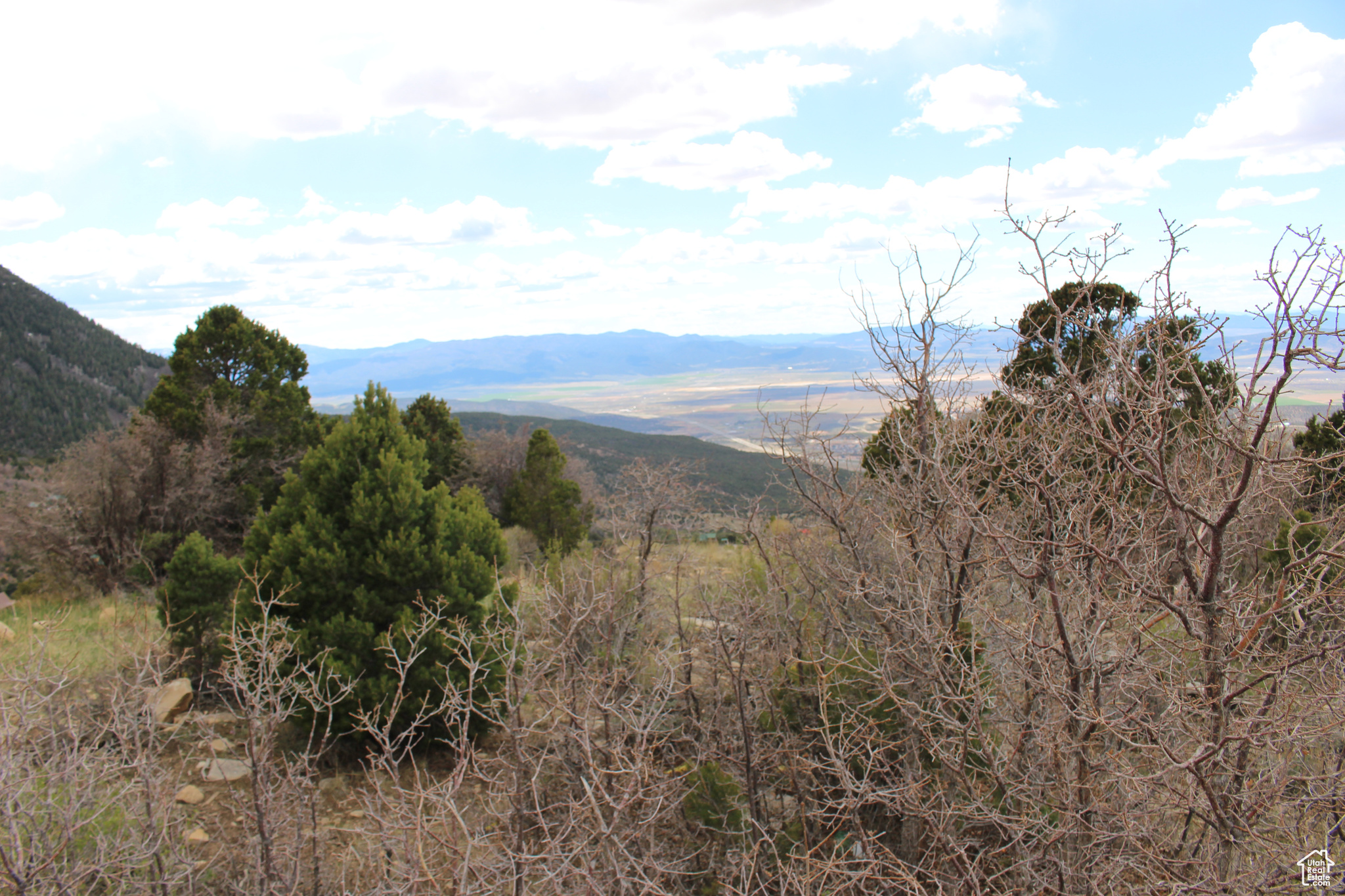 CEDAR HIGHLANDS - Land