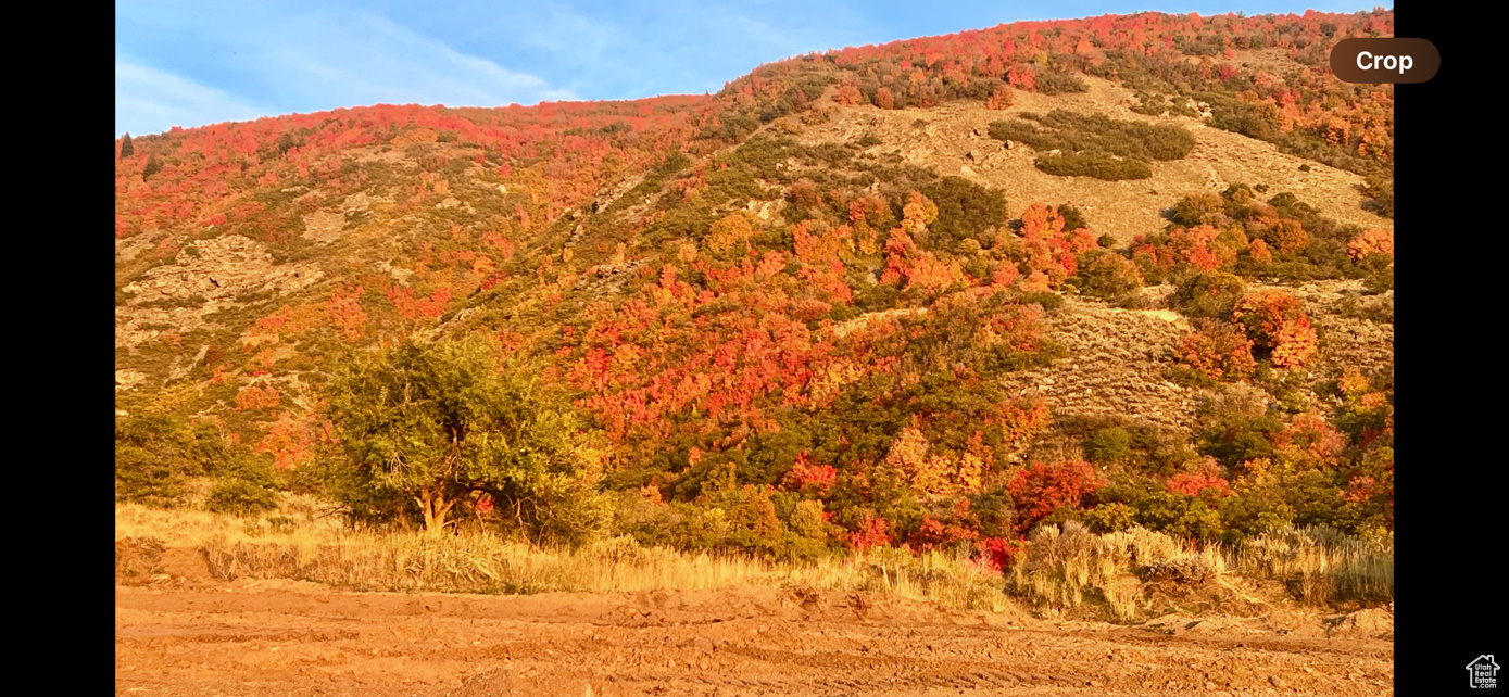 ROCK LOFT RIDGE ESTATES - Land
