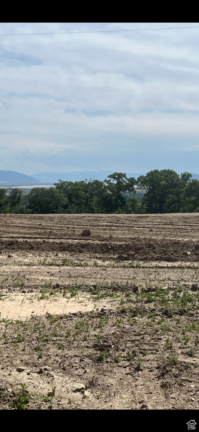 ROCK LOFT RIDGE ESTATES - Land