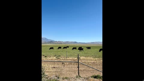 Tiny photo for 2174 N YORK LN #5, Genola, UT 84655 (MLS # 2142533)