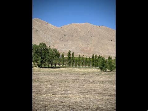 Tiny photo for 2174 N YORK LN #5, Genola, UT 84655 (MLS # 2142533)
