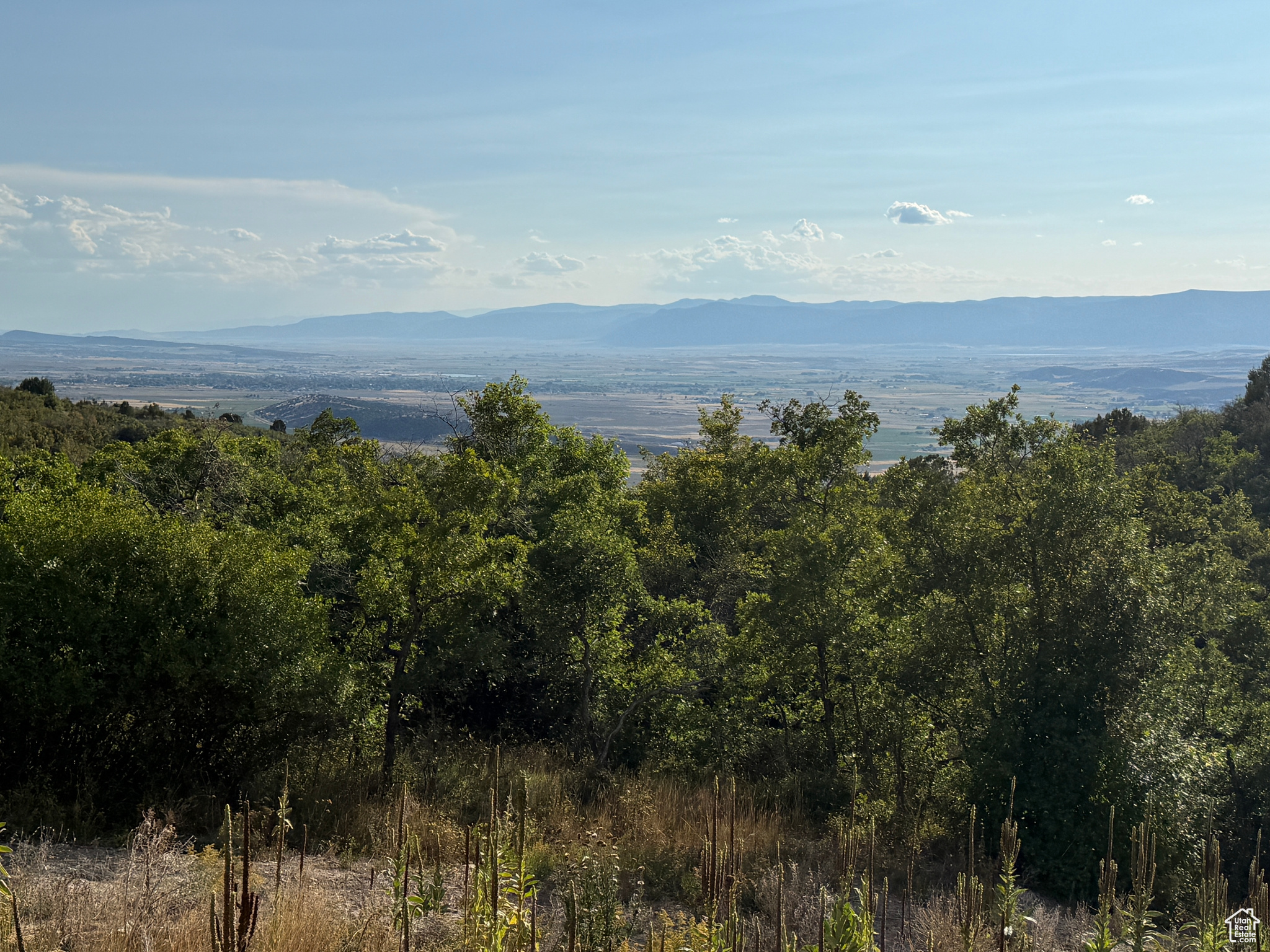 LEGACY MOUNTAIN, THE HOLLOWS - Land