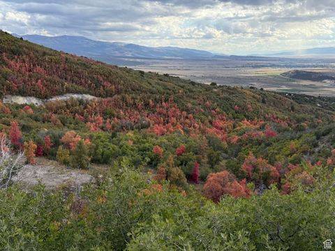 Vacant Land For Sale - 1 Archies Hideaway #12<br/> Fairview, UT 84629
