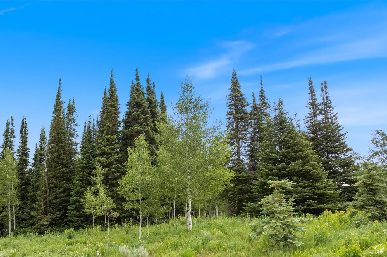 TIMBERLAKES PLAT 20 - Land