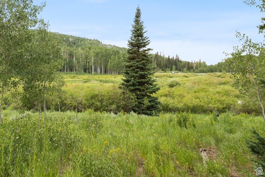 TIMBERLAKES PLAT 20 - Land