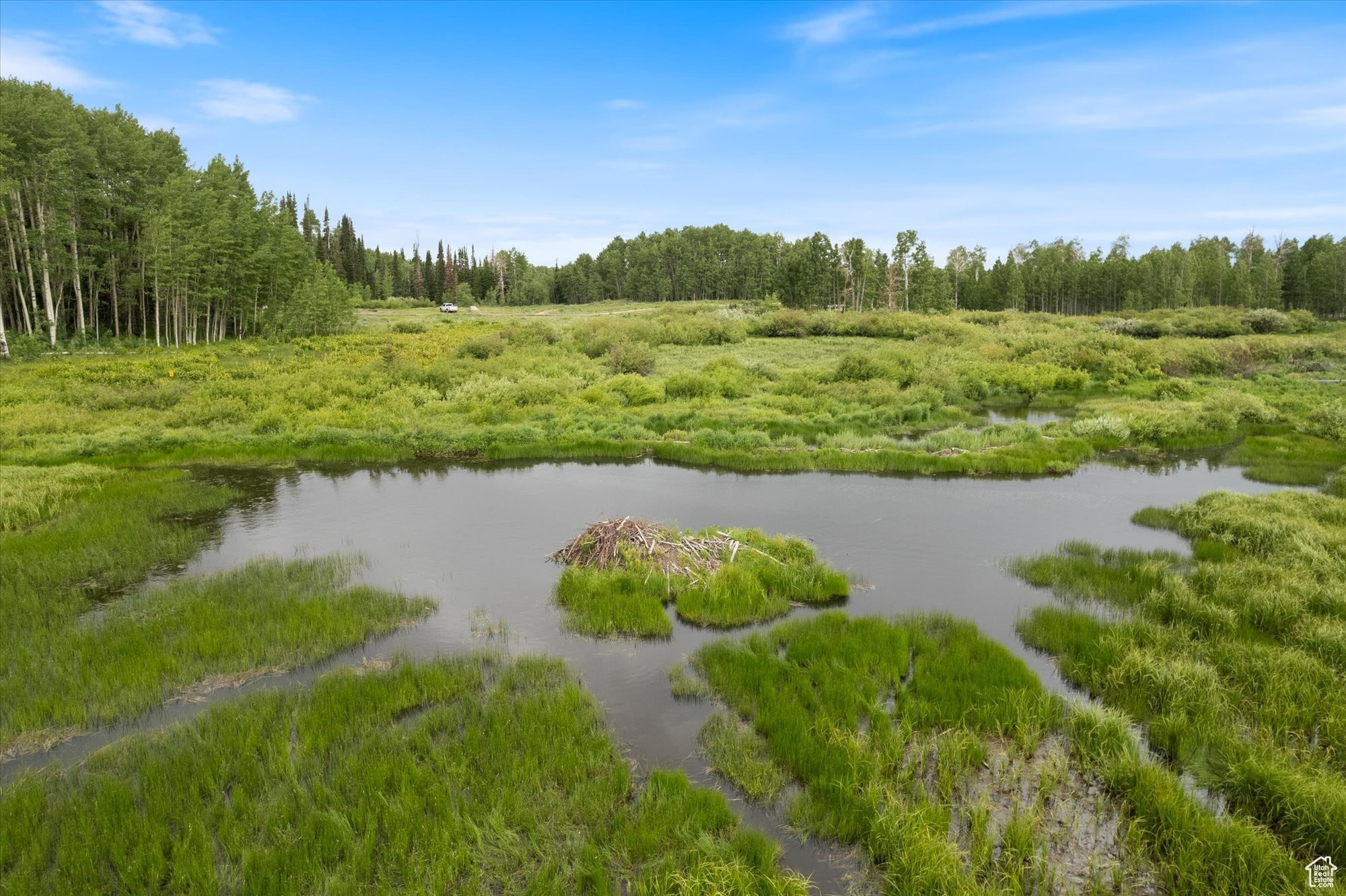 TIMBERLAKES PLAT 20 - Land