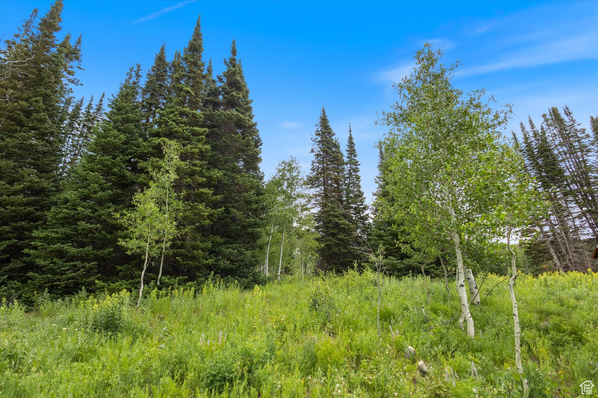 TIMBERLAKES PLAT 20 - Land