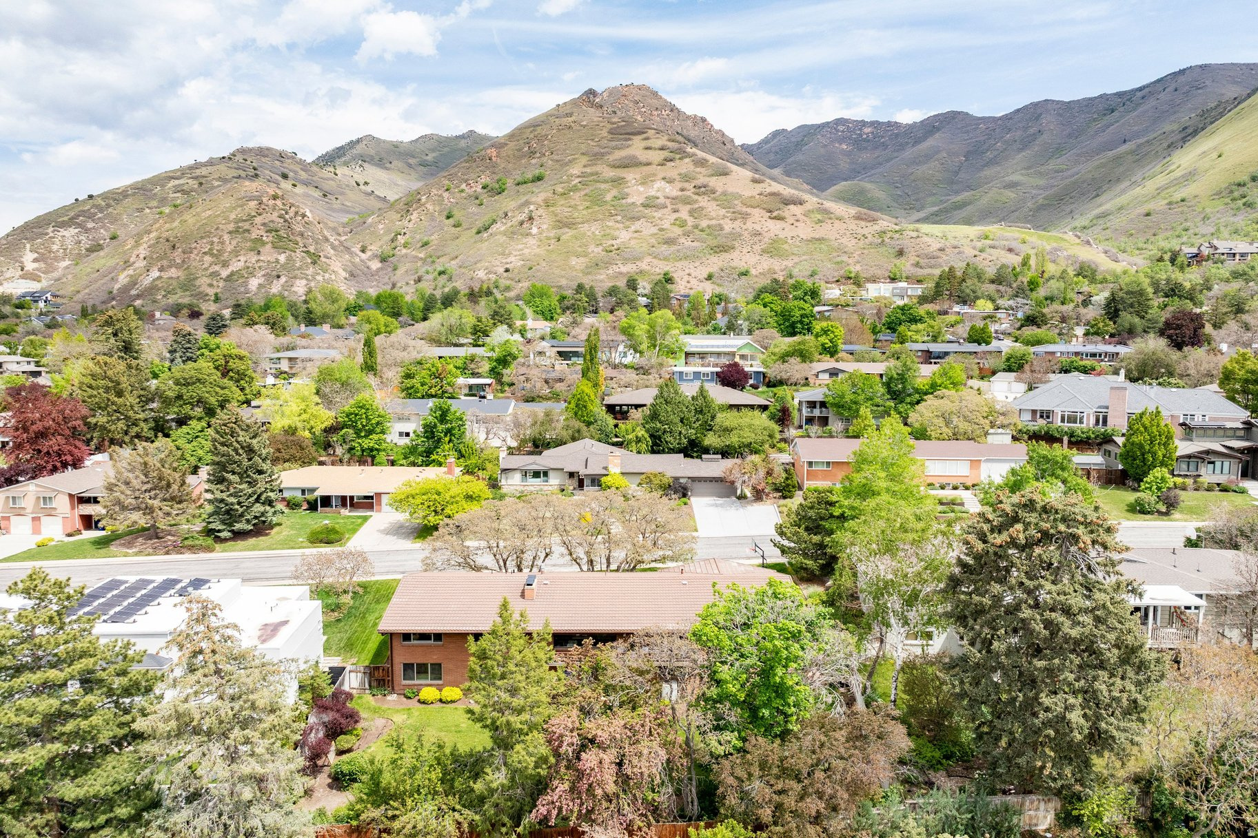 OAK HILLS - Residential