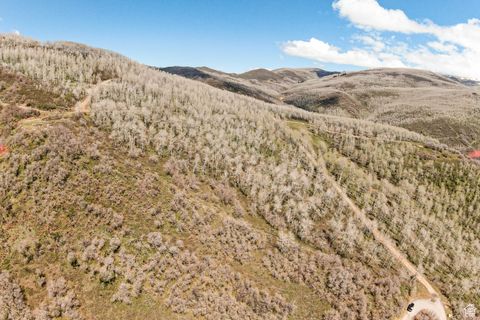 Tiny photo for 199 MOUNTAINVIEW #199, Oakley, UT 84055 (MLS # 2083643)